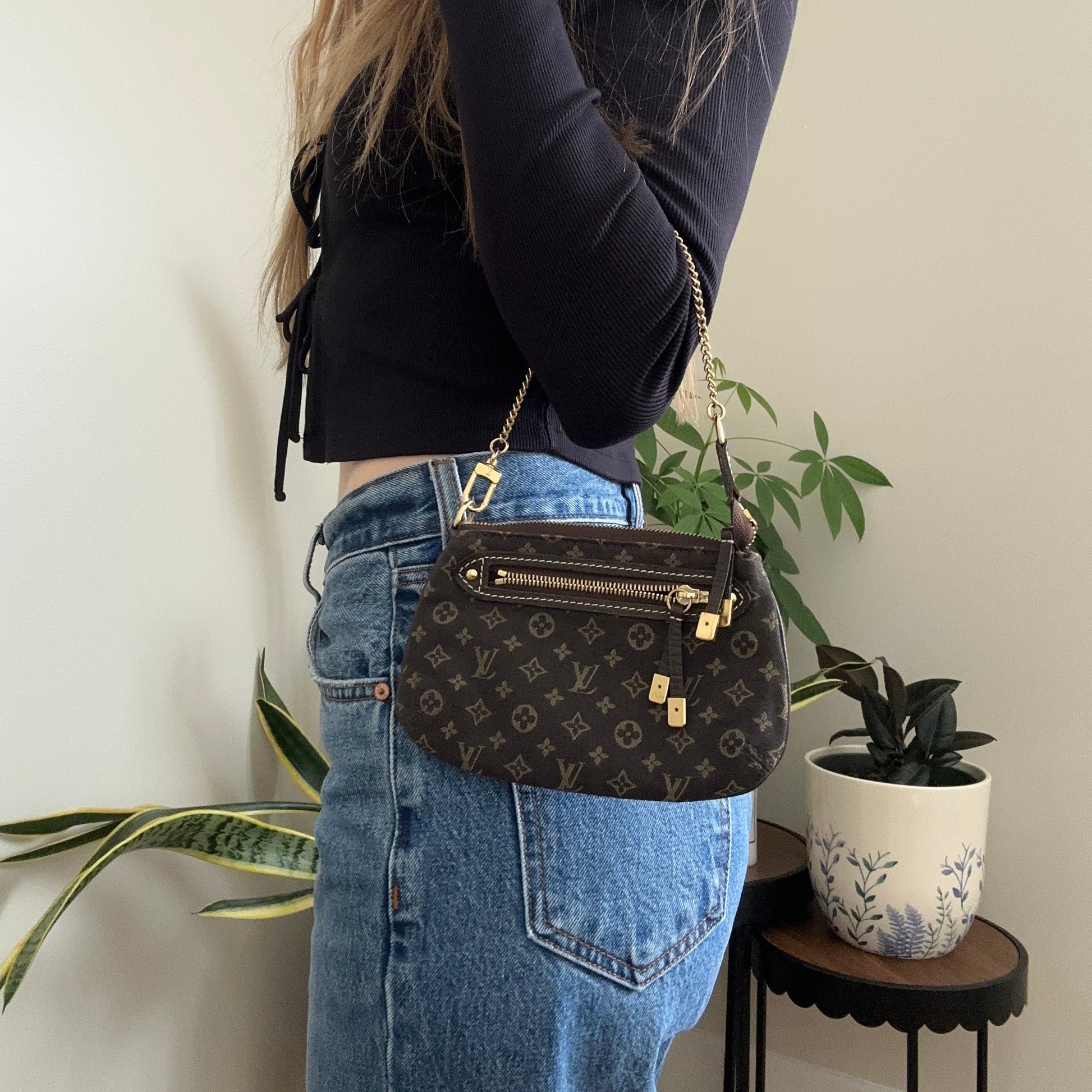 Louis Vuitton Mini Lin Manon MM (with Micro Pochette)