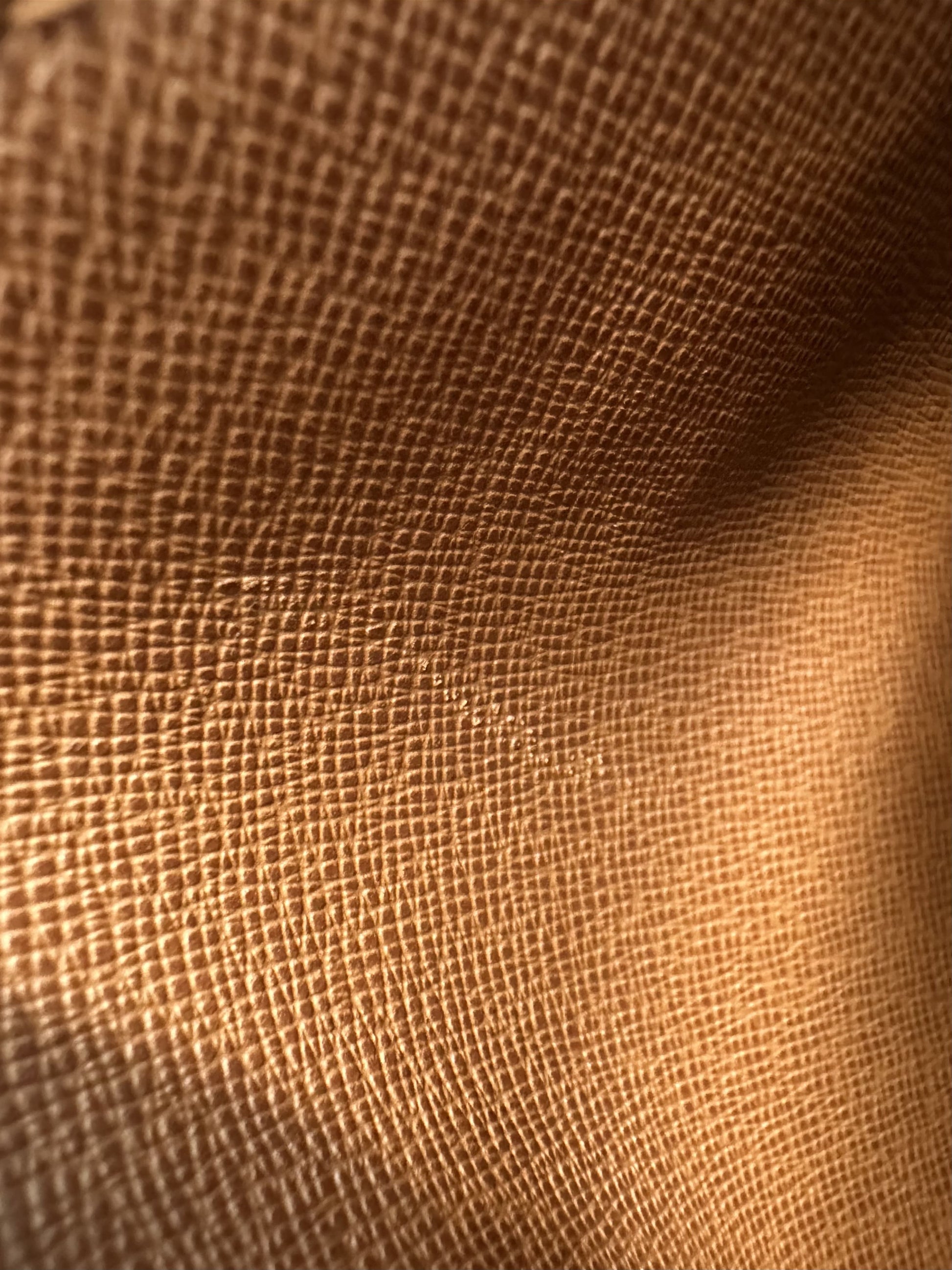 Louis Vuitton Papillon 30